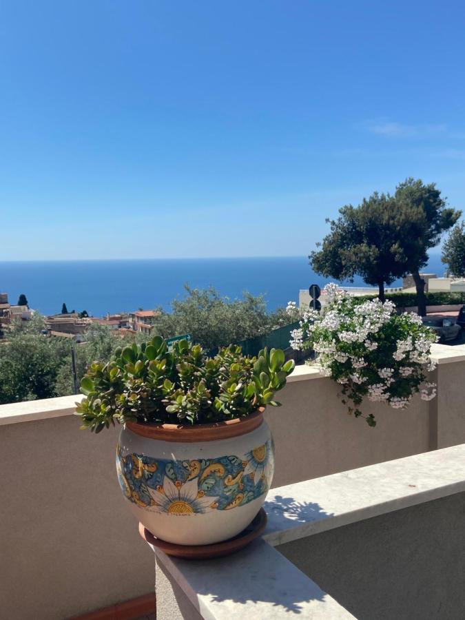 Centaurea With Private Parking Appartement