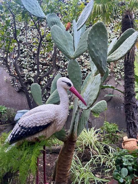 Centaurea With Private Parking Appartement *